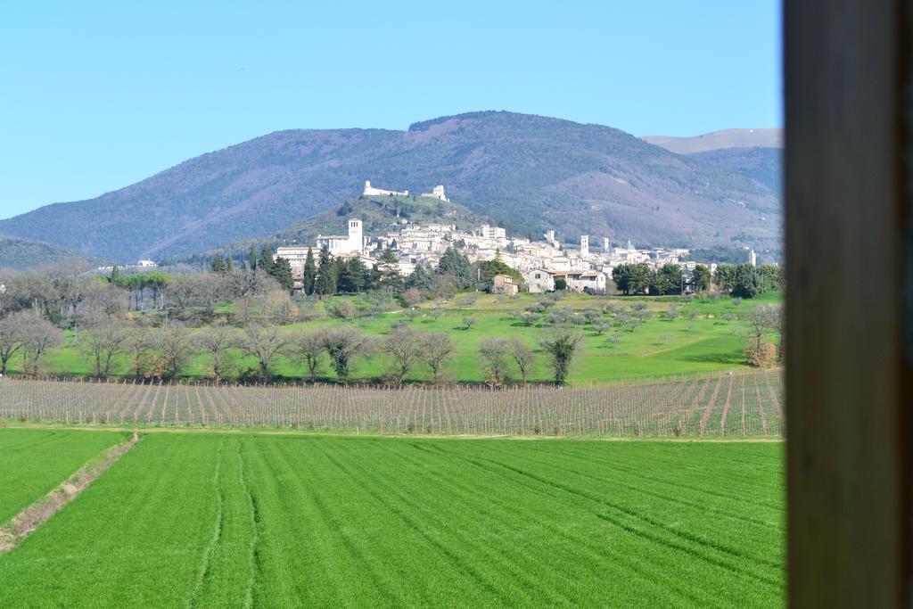 Camere I Monelli Ассизи Экстерьер фото